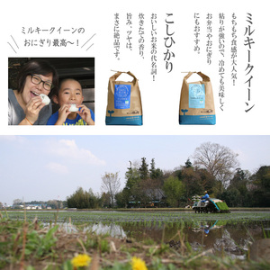 【新米】古河市産有機栽培米ミルキークイーン・コシヒカリ各5kg＋雑穀米200g＋手づくりみそ900gセット_BI02