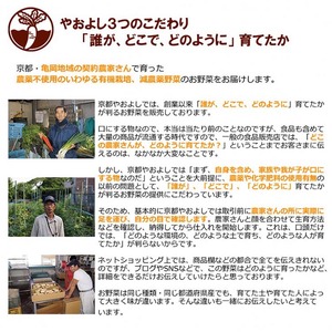 【12回定期便】有機野菜詰め合わせ 野菜