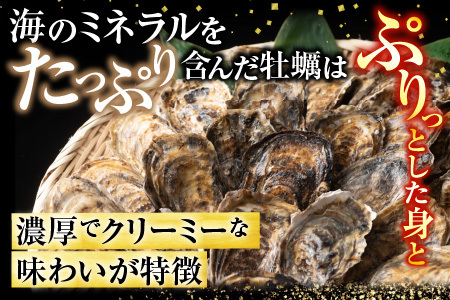 【北海道根室産】貝付き牡蠣40個 C-54008