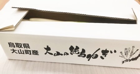 MS-28　大山の純白ねぎ（3㎏）