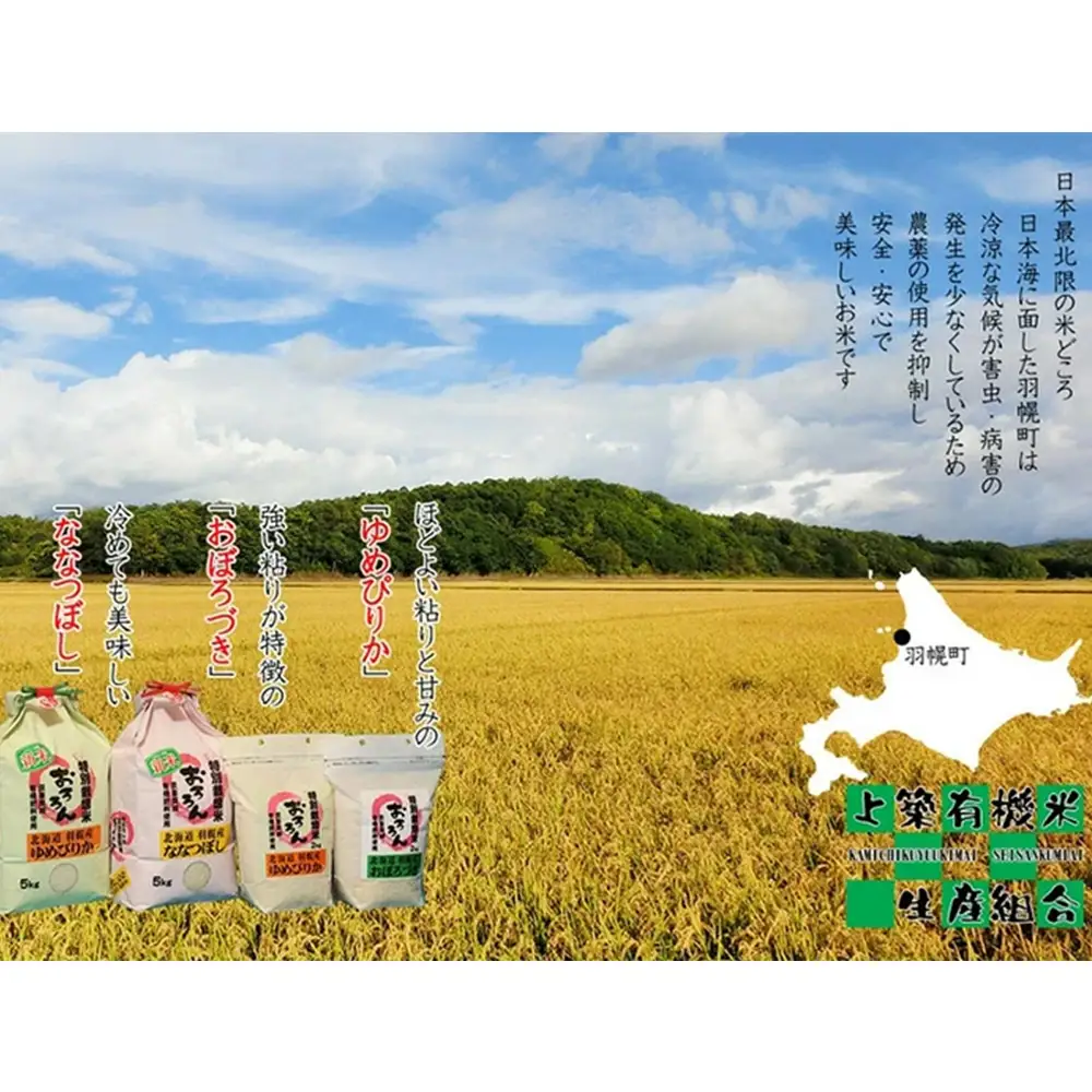 【2025年産】 北海道羽幌産 特別栽培米 ゆめぴりか10kg （5kg×2セット）【0812302】
