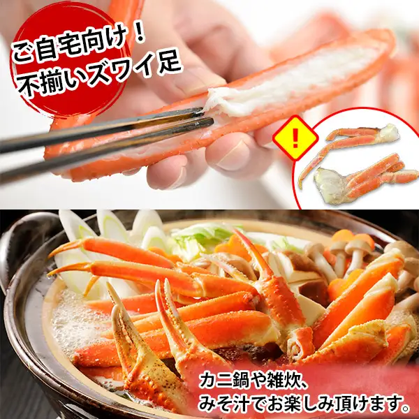 訳あり ボイル ズワイガニ足 800g 期間限定 約2-3人前 食べ方ガイド・専用ハサミ付 数量限定 カニ かに 蟹 海鮮 送料無料 期間限定 数量限定 北海道 弟子屈町 1543