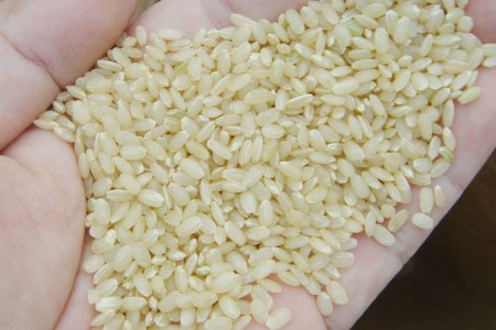 第22回コンクール金賞受賞！ 令和6年産 特別栽培米 にこまる 玄米 5kg [ぽてと倶楽部 長崎県 雲仙市 item1806] 米 お米 こめ コメ 特別栽培