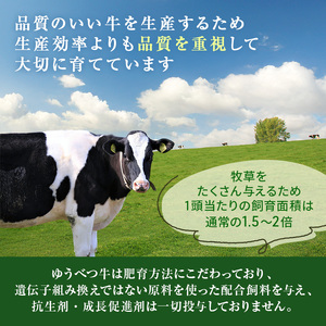 牛肉セット ゆうべつ牛 北海道産 ステーキ 焼肉 牛肉セット【約1.03kg】【冷凍】