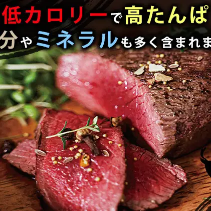 北海道 湧別町産 エゾ鹿肉 ロース (ブロック) 900g【 お肉 ジビエ 鹿 しか肉 シカ肉 エゾシカ エゾシカ肉 もも肉 エゾ鹿 冷凍 低カロリー ヘルシー 国産 産地直送 オホーツク 】