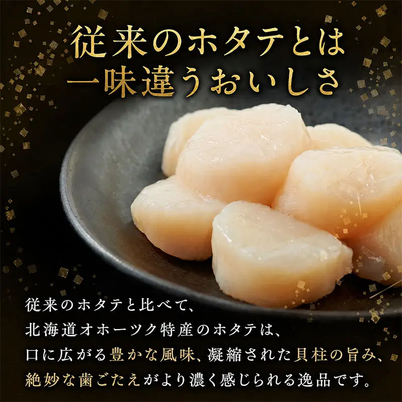 珍味詰合せ ウスイ 業務用 ほたて焼貝ひも 貝ひも 鮭とば 珍味詰合せ【定期便3ヶ月】