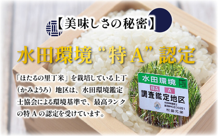 【先行予約】【令和7年産 新米】ベストファーマー ほたるの里 特別栽培こしひかり 5kg 化学肥料不使用 農薬70％以上カット【10月より順次発送】[A-002003]