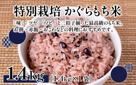 【先行予約】【令和7年産 新米】ベストファーマー ほたるの里 特別栽培こしひかり 4kg（2kg × 2袋） ＋ かぐらもち米 1.4kg 化学肥料不使用 農薬70％以上カット【10月より順次発送】 [A-002002]