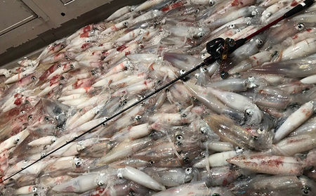 海生丸 釣り船乗船券（1名様　乗合便） チケット 