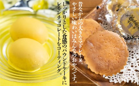 マドレーヌ＆レモンケーキ セット 計10個 セット [AK006]