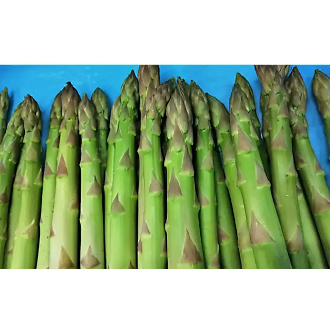 期間限定！極太アスパラ 【さぬきのめざめ1kg】  3Lサイズ 野菜セット 野菜 アスパラガス 