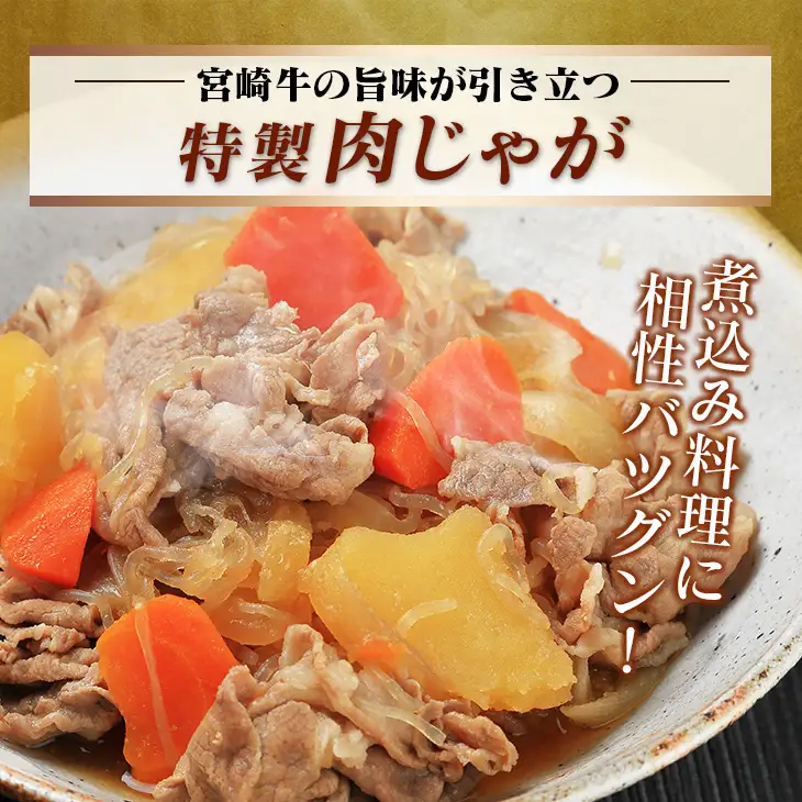 宮崎牛 赤身 モモ ウデ 切落し セット 計800g 牛肉 ビーフ 黒毛和牛 国産 ブランド牛 食品 もも うで 切り落とし 高級 贅沢 ご褒美 お祝い 記念日 人気 おすすめ カレー シチュー ハヤシライス 牛丼 おかず 冷凍 お取り寄せ グルメ 宮崎県 日南市 送料無料_DA46-25