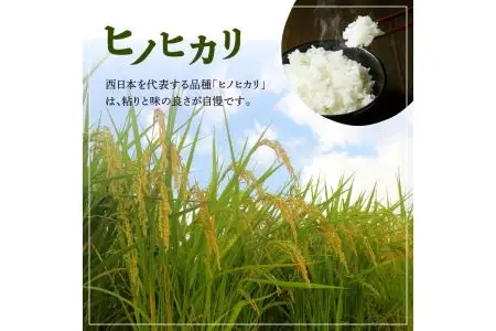 ヒノヒカリ金芽米4.5kgと紫黒米（古代米）300g B01013
