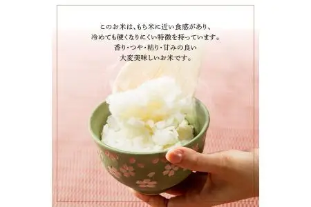 特別栽培米ぴかまる白米 5kg B01019