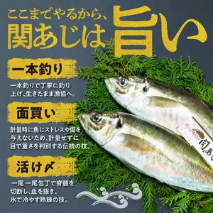 関あじ（鮮魚セット）2尾 E04023