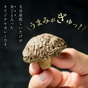 豊後きのこカレー F07026