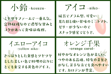 【先行予約】ミニトマト 宝石とまと 1.2kg 10種 トマト