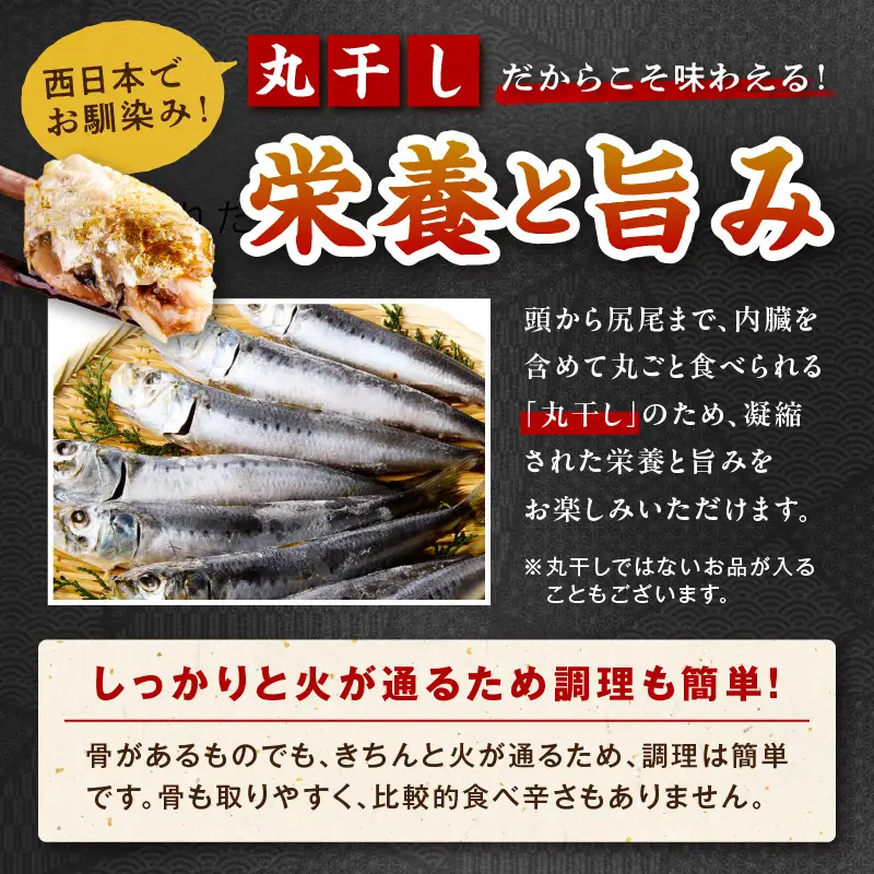 【最短2～5営業日以内に発送】おまかせ干物セット（冷凍） 干物