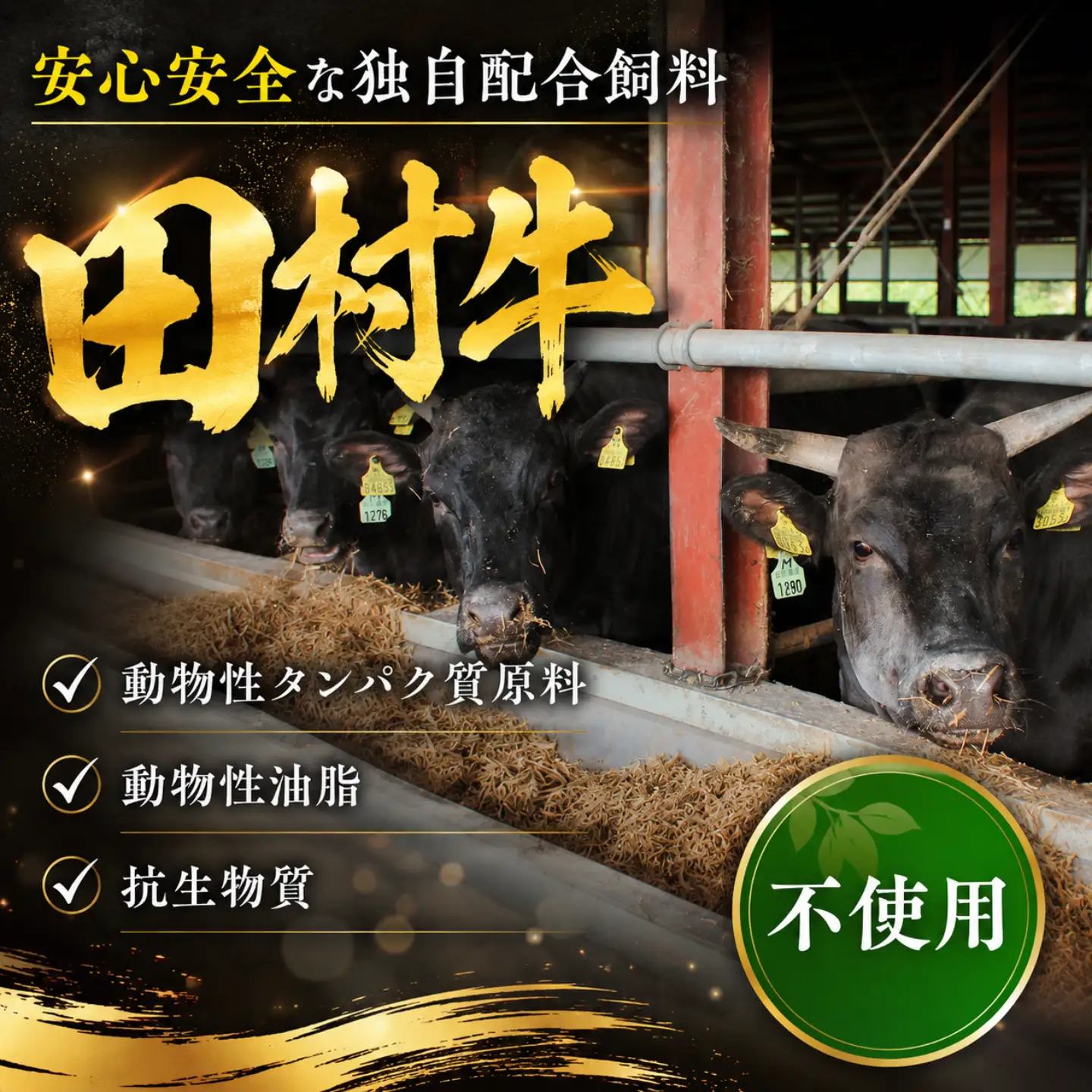 Y117 田村牛 特選ロースステーキ