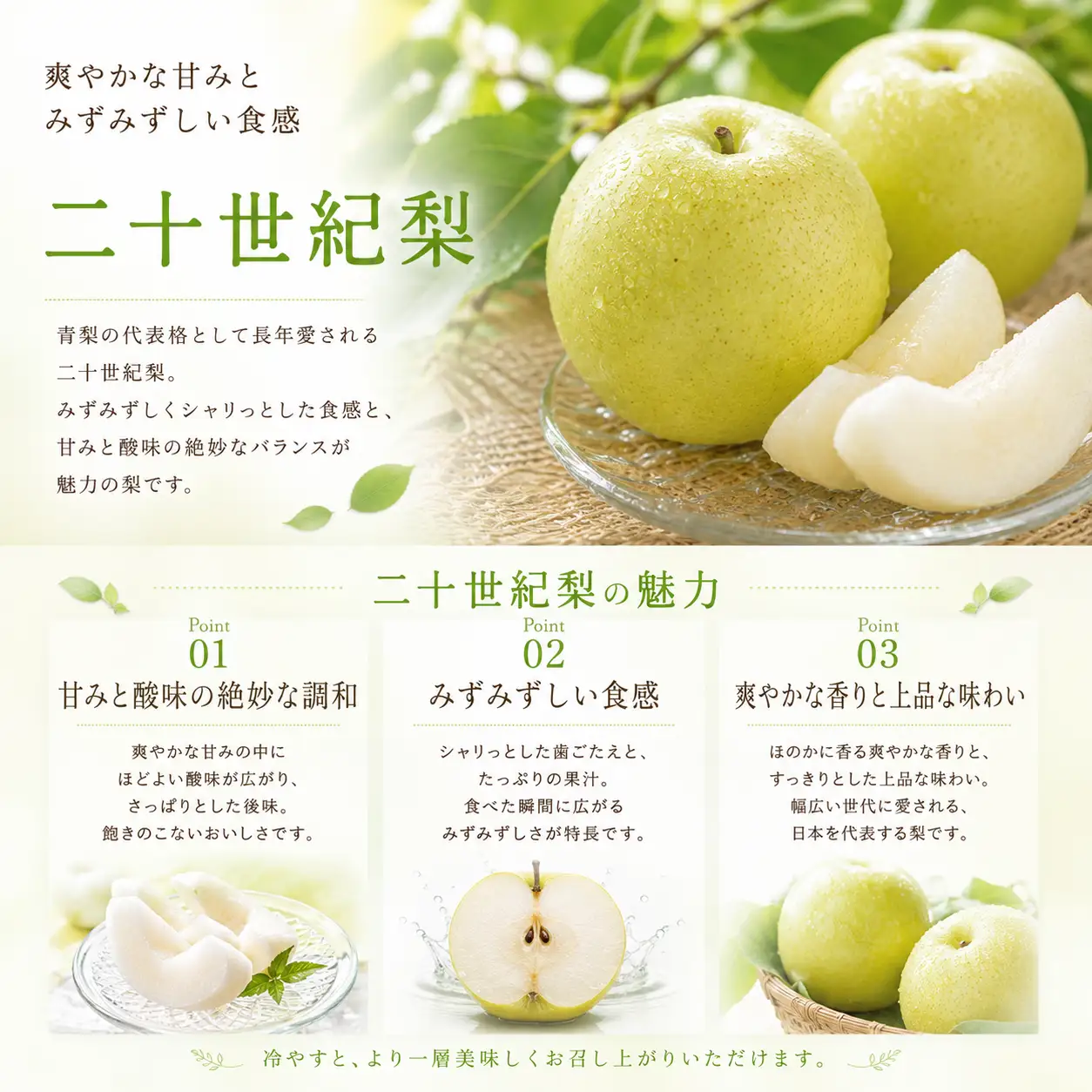 Y014 二十世紀梨(赤秀) 2.4kg