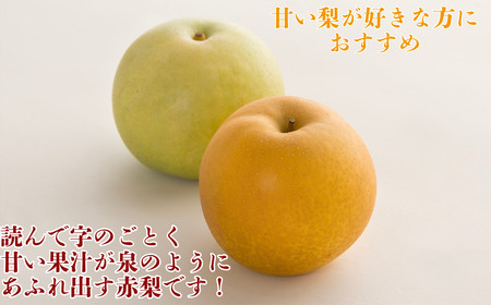 Y023 新甘泉(赤秀) 3kg