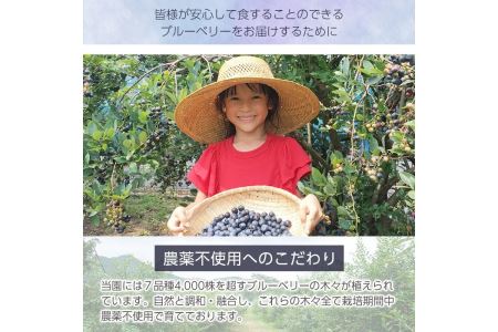 isa223 手作りブルーベリージャム(計3個・各250g) 詰合せ ギフト ジャム 手づくり 自家栽培 ブルーベリー 甘さ控えめ【伊佐ブルーベリーつみとり観光農園】