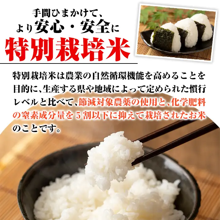 Z7-01 ＜先行予約受付中！2026年10月中旬から順次発送＞《数量限定》令和8年産 特別栽培米 伊佐米永池ひのひかり(5kg) 伊佐市 永池 特産品 伊佐米 新米 九州米サミット 食味コンテスト 最優秀賞受賞 ヒノヒカリ 5kg 【エコファーム永池】