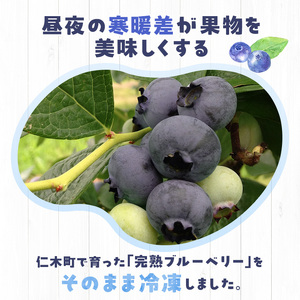 ブルーベリー 冷凍 北海道産 ブルーベリー【約1.5kg(500g×3)】