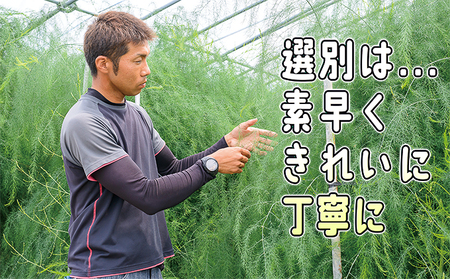 アスパラ 露地 北海道産 アスパラ【約1.5kgM・Sサイズ】【先行予約】