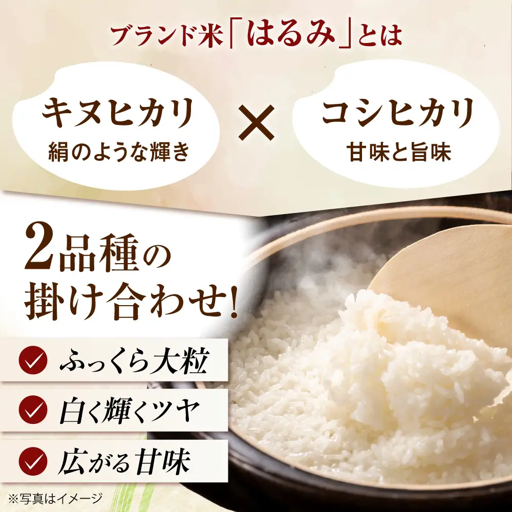 【先行予約】はるみ 新米 新米 5kg 令和8年産 [BDAF001] 