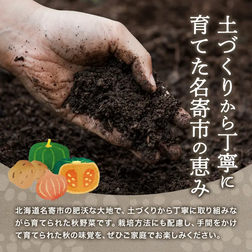 北海道名寄市産 野菜3種詰め合わせ じゃがいも 3kg 玉ねぎ 3kg かぼちゃ 2玉