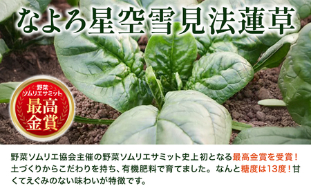 北海道名寄産 星空雪見法蓮草《2027年1月中旬-2月上旬頃出荷》名寄産 星空雪見 法蓮草 星空 雪見 法蓮草 ほうれん草 北海道 名寄市 野菜 ホウレンソウ 野菜ソムリエ やさい 