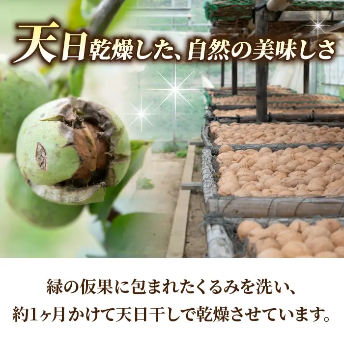 長野県産 殻つきくるみ約1.4kg（2026年収穫分）｜JA信州うえだ東部地区