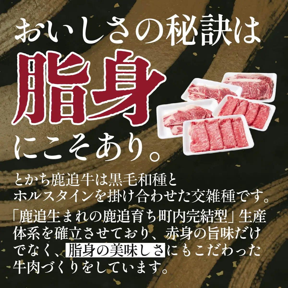 とかち鹿追牛　スペシャルセット 2,520g SKA018 【 すき焼き 焼肉 大容量 ミート 北海道  送料無料 】