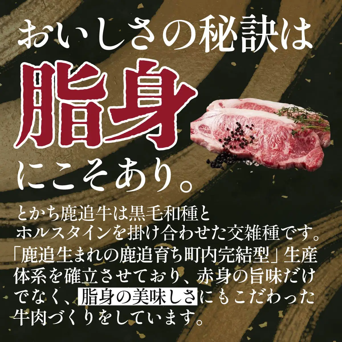 とかち鹿追牛ロースステーキ（Dセット） 225g×2 SKA008 【 人気 おすすめ  北海道  送料無料 】