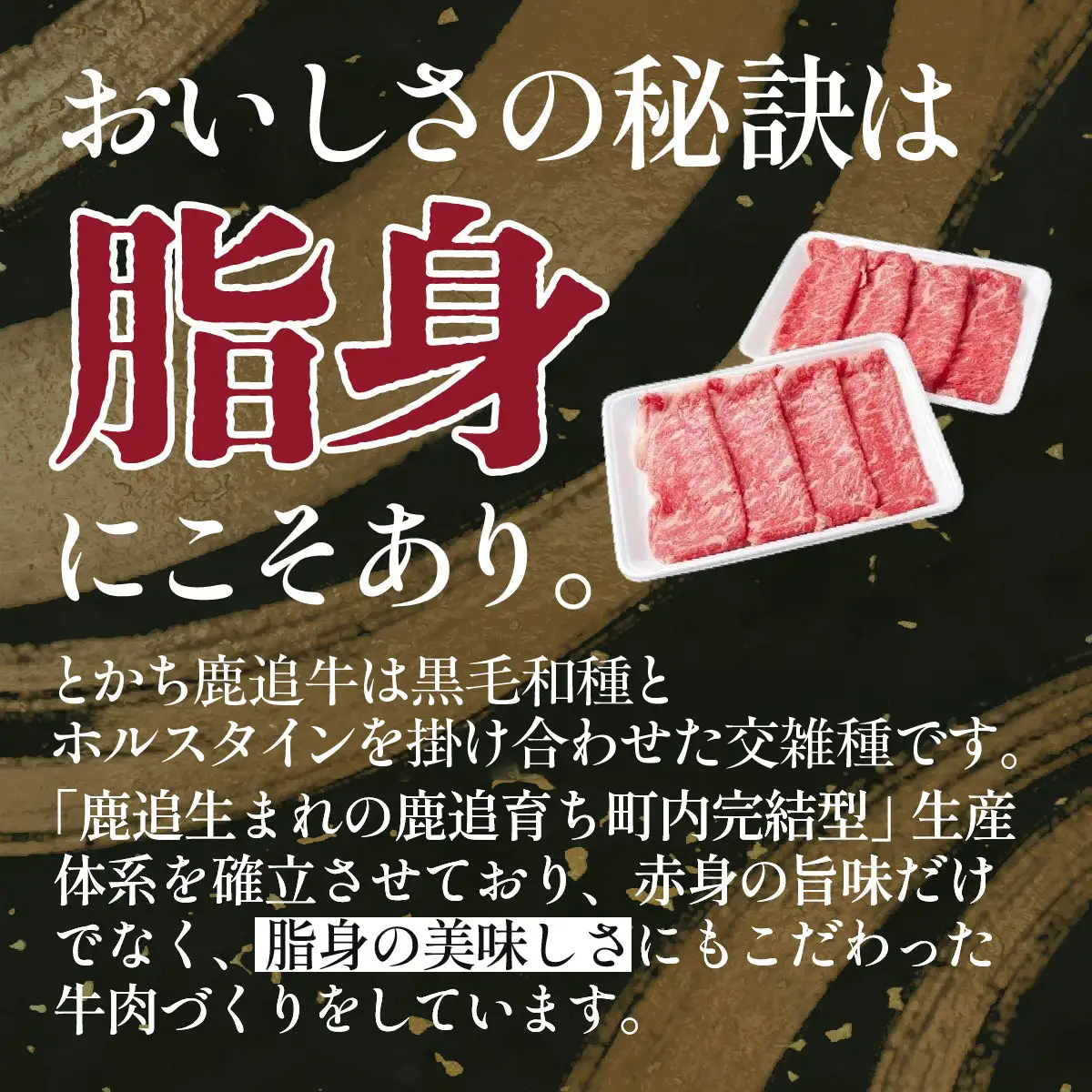 とかち鹿追牛しゃぶしゃぶ用（Eセット） 225g×2 SKA001 【 人気 おすすめ  北海道  送料無料 】