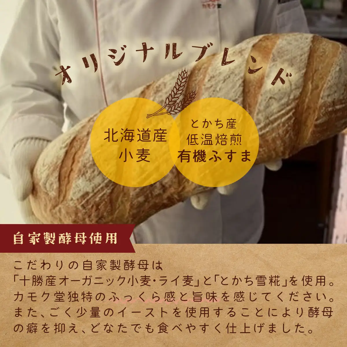 とかち産有機「焙煎ふすま」のカンパーニュ SKI003 【 北海道 鹿追町 送料無料 】 