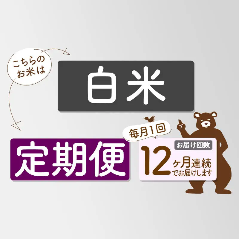 新米 R8産 《定期便12ヶ月》秋田県産 あきたこまち 10kg【白米】(5kg小分け袋) 2026年産 令和8年産 お届け周期調整可能 隔月に調整OK お米 藤岡農産