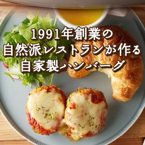 豆腐と地鶏のイタリアンハンバーグ6個入り（13）〈レトルト〉