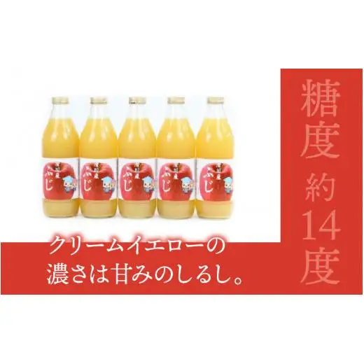りんごジュース 1?×5本