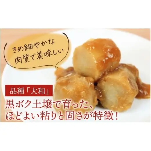 【先行予約】さといも 大和里芋（やまと）3kg【2026年11月中旬より順次発送予定】| 野菜 芋 イモ 根菜 いも 煮物 旬 味覚 秋