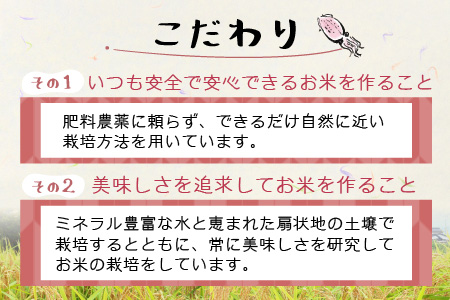 【訳あり】ほたるいか米（玄米１０kg）【通年発送】 