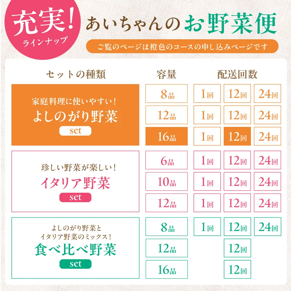【16品 / 12回定期便】「よしのがり野菜」セット（ラージ）[FAA010]