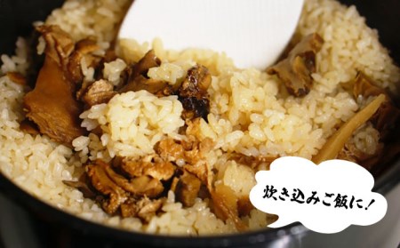 【2025年1月先行予約】五島の天然さざえ 約3kg 五島市 / 五島FF [PBJ007]   サザエ 栄螺 貝 海鮮 BBQ 壺焼き 刺身 冷蔵