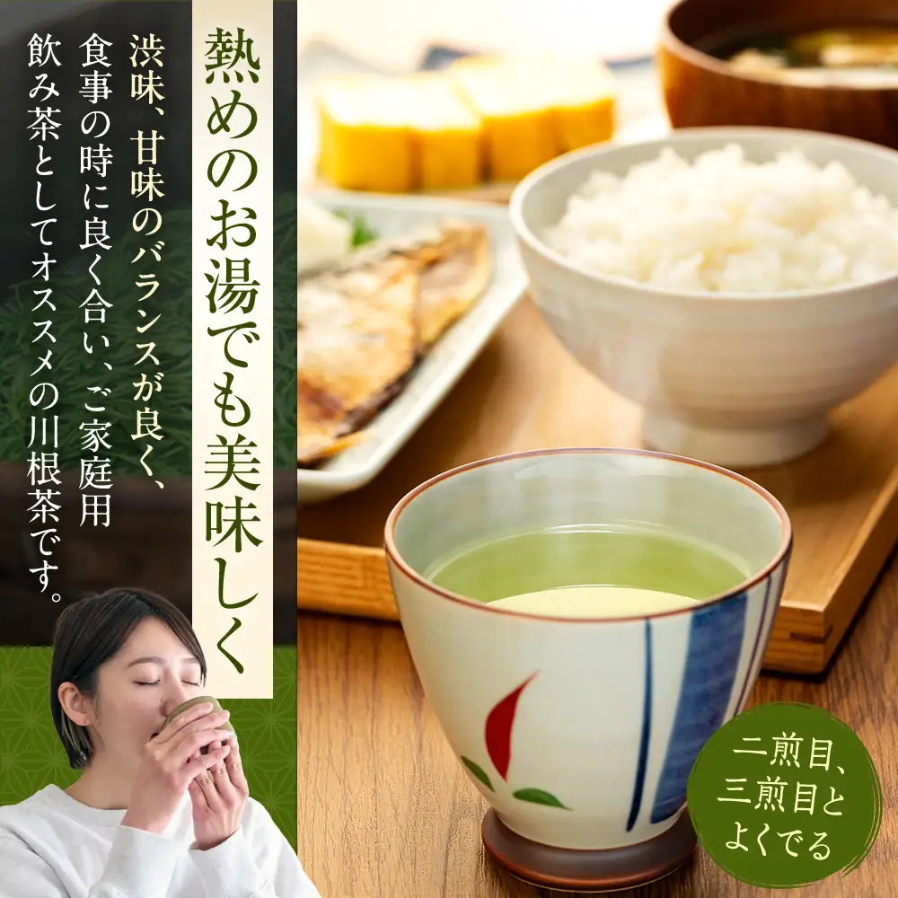 20-4 【定期便】川根 自家用煎茶900ｇ(100ｇ×3本×3ヶ月)