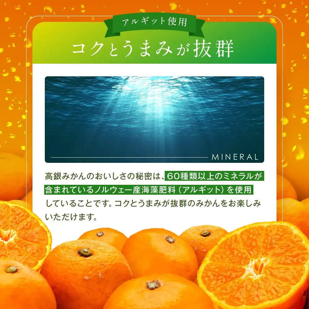うまみ際立つ 蔵出しみかん サイズ混合 5kg