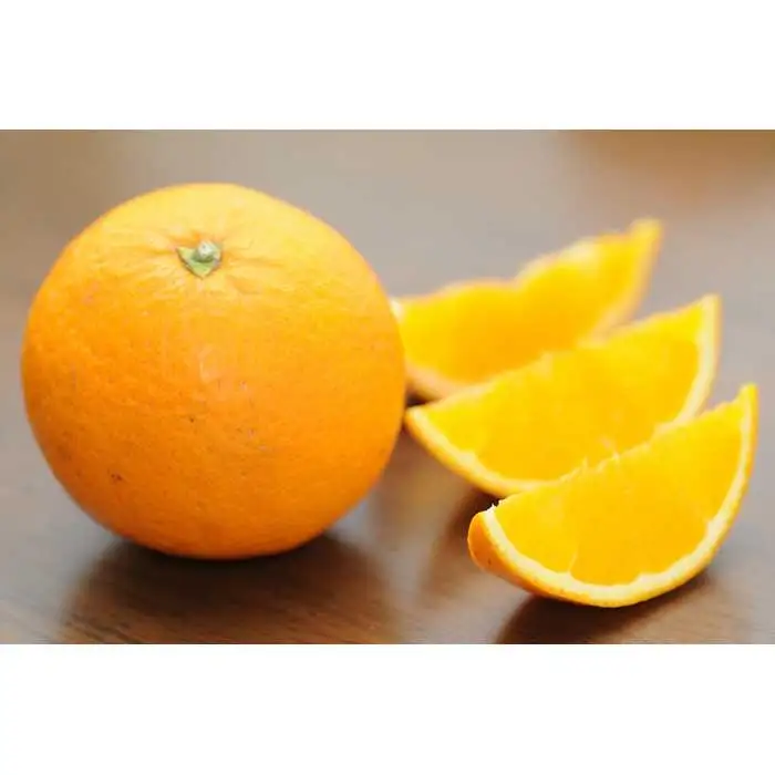 清見オレンジ 5kg 赤秀 和歌山清見オレンジ