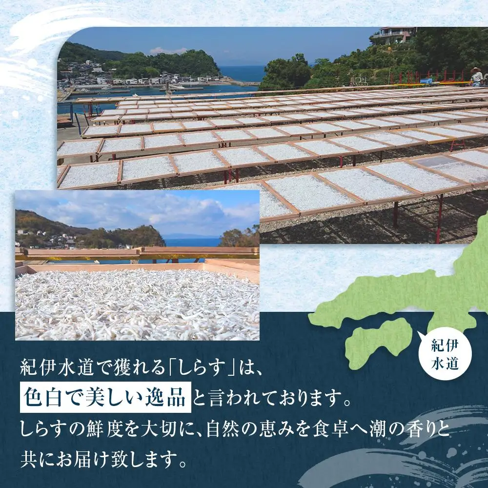 紀州特産 釜あげしらす 600g 1パック