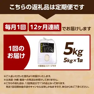 【定期便】丹生米の里 丹川のお米 ヒノヒカリ白米 5kg×12回 B01024