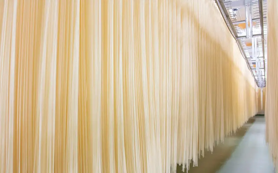 B25-501　稲庭うどん　20把入セット